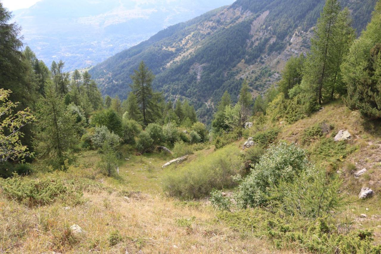 Appartement Au Depart Des Remontees Mecaniques - Briancon Εξωτερικό φωτογραφία